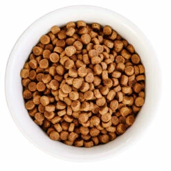 WholeHearted Healthy Benefits Alimento Natural Para Gato Adulto Fácil Digestión Receta Pollo Y Huevo, 1.1 Kg -Tropiclean Shop medias 474