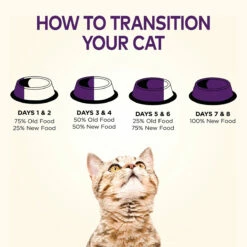 Wellness Complete Health Alimento Natural Para Gatito Receta De Pollo Deshuesado, 2.26 Kg -Tropiclean Shop medias 537