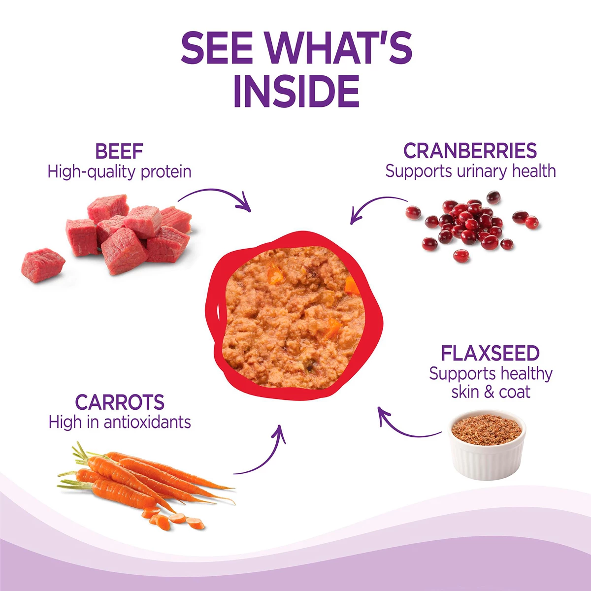 Wellness Complete Health Alimento Natural Para Gato Receta Paté De Res/Pollo, 156 G 3 Wellness Complete Health Alimento Natural Para Gato Receta Paté De Res/Pollo, 156 G - Image 3