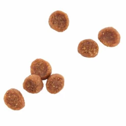 WholeHearted Libre De Granos Alimento Natural Para Gatito Receta Pollo, 2.2 Kg 14 WholeHearted Libre De Granos Alimento Natural Para Gatito Receta Pollo, 2.2 Kg -Tropiclean Shop medias 590