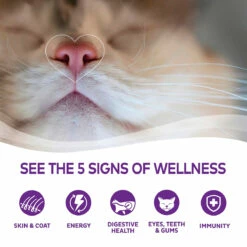 Wellness Complete Health Alimento Natural Para Gato Receta Trozos De Pavo En Gravy, 156 G -Tropiclean Shop medias 615