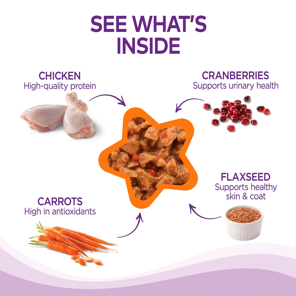 Wellness Complete Health Alimento Natural Para Gato Receta Trozos De Pollo En Gravy, 156 G 3 Wellness Complete Health Alimento Natural Para Gato Receta Trozos De Pollo En Gravy, 156 G - Image 3