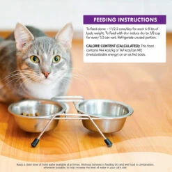 Wellness Complete Health Alimento Natural Para Gato Receta Trozos De Pollo En Gravy, 156 G 14 Wellness Complete Health Alimento Natural Para Gato Receta Trozos De Pollo En Gravy, 156 G -Tropiclean Shop medias 647