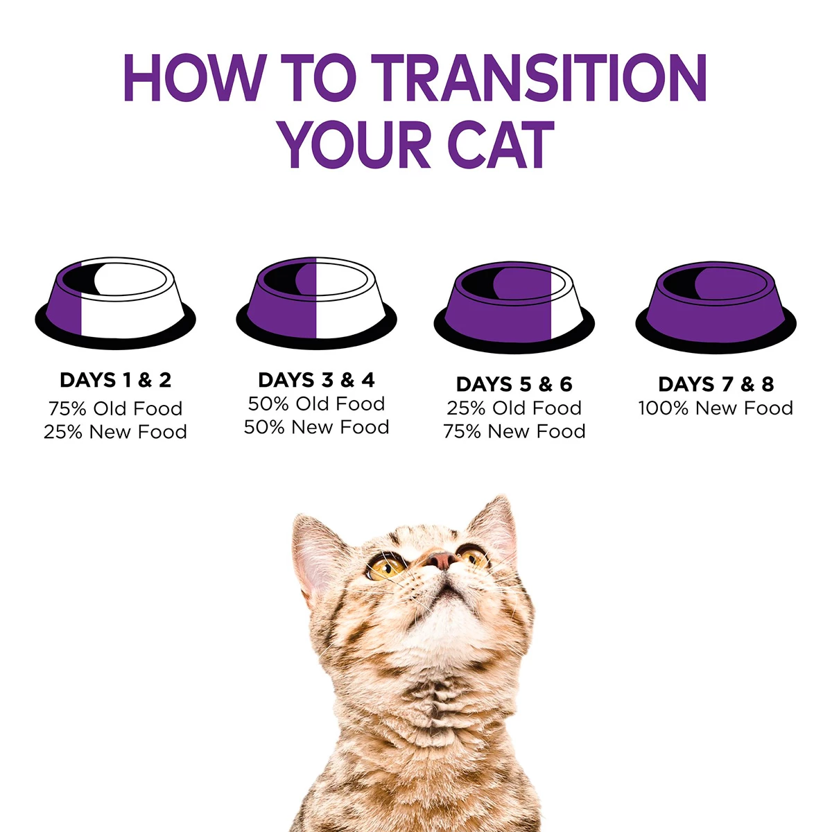 Wellness Complete Health Alimento Natural Para Gato Receta Trozos De Pollo En Gravy, 156 G 6 Wellness Complete Health Alimento Natural Para Gato Receta Trozos De Pollo En Gravy, 156 G - Image 6