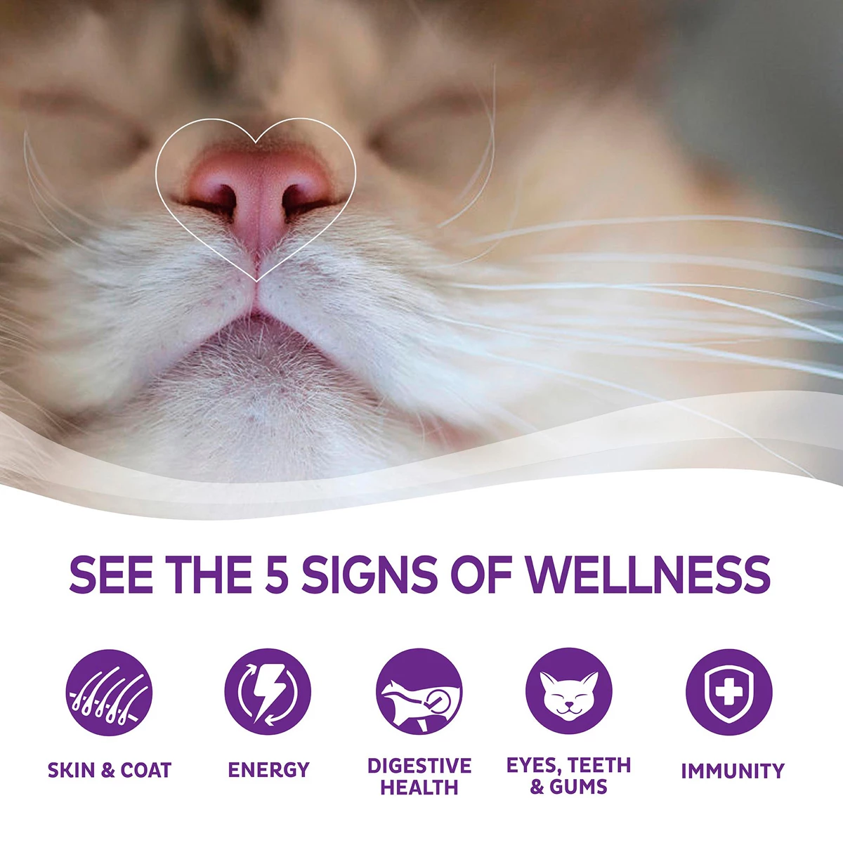 Wellness Complete Health Alimento Natural Para Gato Receta Trozos De Pollo En Gravy, 156 G 9 Wellness Complete Health Alimento Natural Para Gato Receta Trozos De Pollo En Gravy, 156 G - Image 9