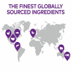 Wellness Complete Health Alimento Natural Para Gato Receta Trozos De Pollo En Gravy, 156 G 19 Wellness Complete Health Alimento Natural Para Gato Receta Trozos De Pollo En Gravy, 156 G -Tropiclean Shop medias 652