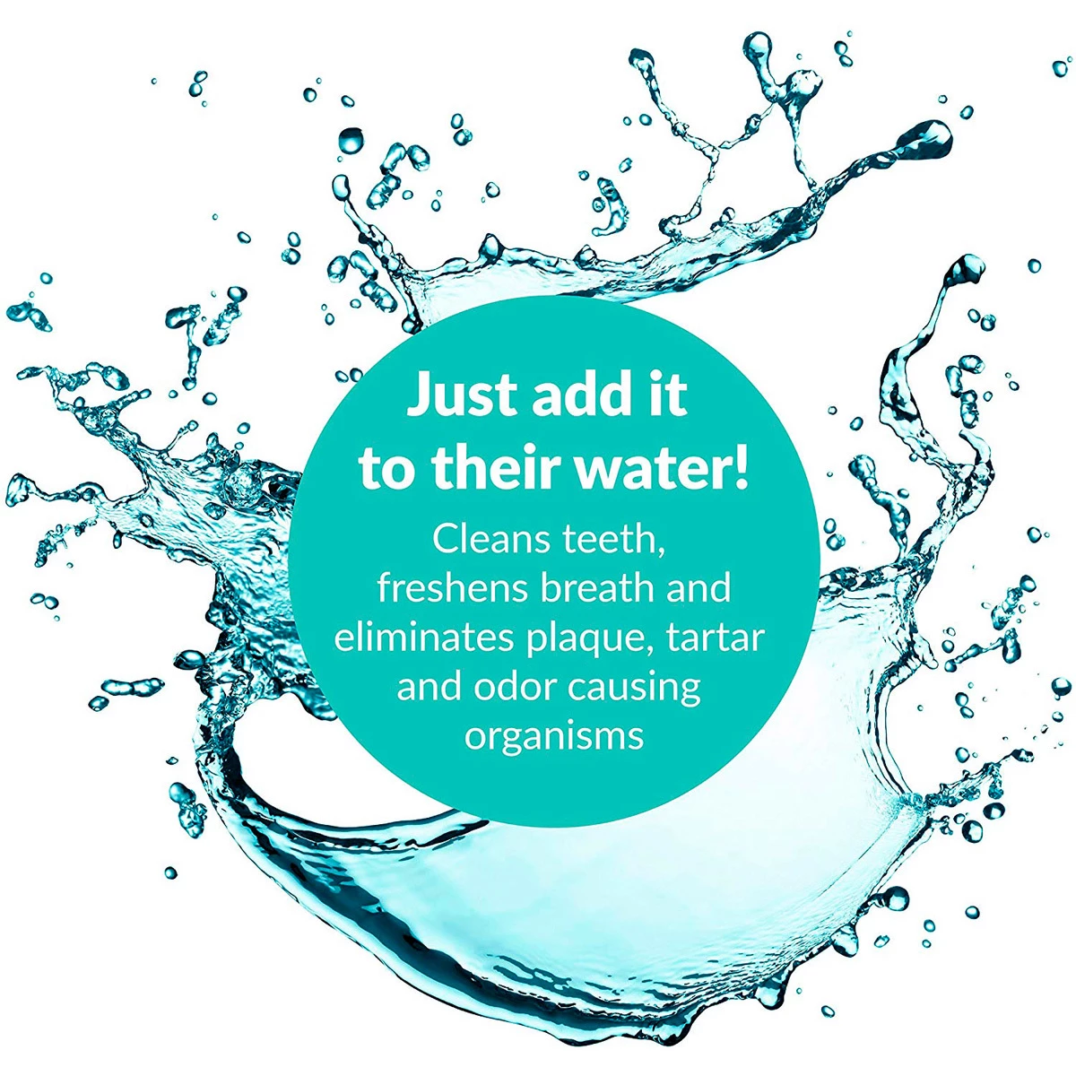 Synergy Labs Inc Dental Fresh Enjuague Bucal Para Perro Y Gato, 946 Ml 4 Synergy Labs Inc Dental Fresh Enjuague Bucal Para Perro Y Gato, 946 Ml - Image 4