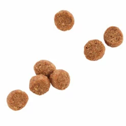 WholeHearted Libre De Granos Alimento Natural Para Gato Todas Las Edades Receta Pollo, 5.4 Kg -Tropiclean Shop medias 671