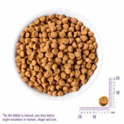 Wellness Complete Health Libre De Granos Alimento Natural Para Gato Receta De Pollo Deshuesado, 5.2 Kg 13 Wellness Complete Health Libre De Granos Alimento Natural Para Gato Receta De Pollo Deshuesado, 5.2 Kg -Tropiclean Shop medias 697