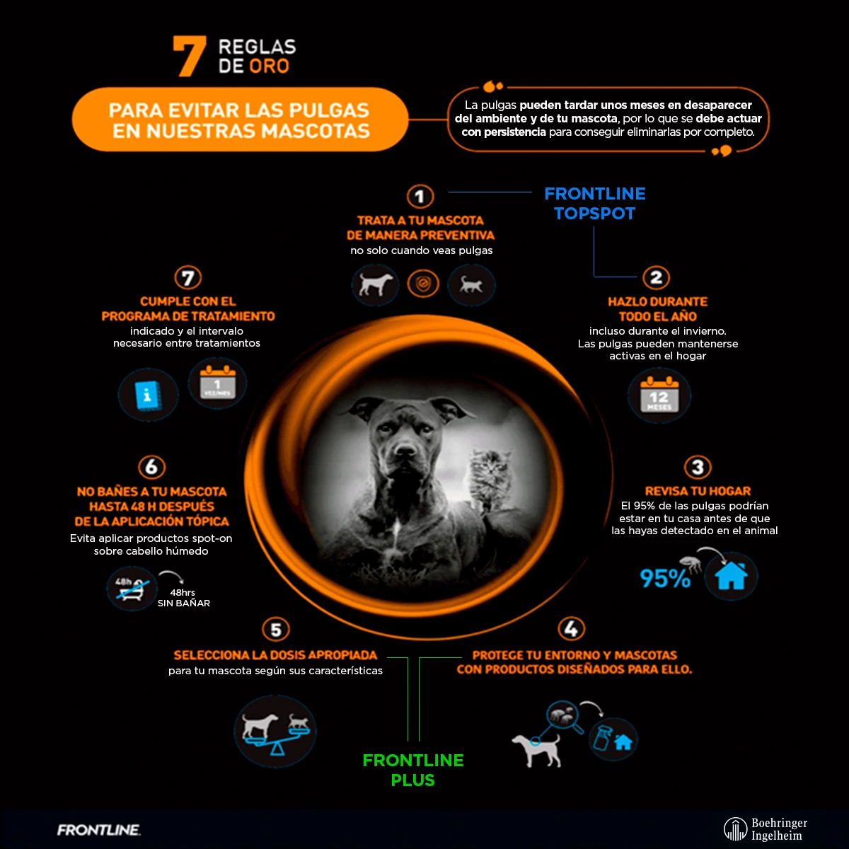 Frontline Spray Antiparasitario Externo Para Perro Y Gato, 100 Ml 3 Frontline Spray Antiparasitario Externo Para Perro Y Gato, 100 Ml - Image 3