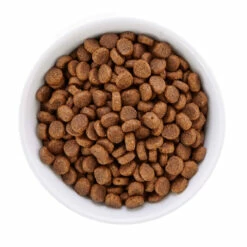 WholeHearted Libre De Granos Alimento Natural Para Gato Todas Las Edades Receta Salmón, 5.4 Kg -Tropiclean Shop medias 736