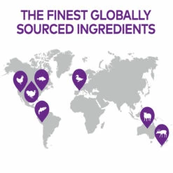 Wellness Complete Health Alimento Natural Para Gato Receta Paté De Pollo, 156 G -Tropiclean Shop medias 750