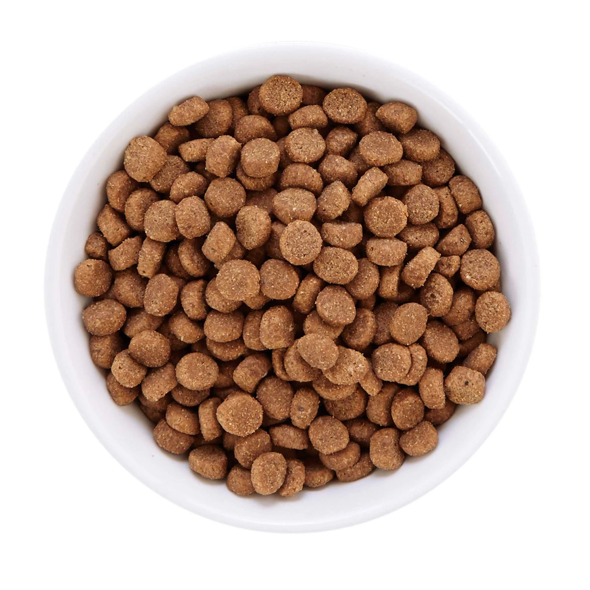 WholeHearted Libre De Granos Alimento Natural Para Gato Todas Las Edades Receta Pavo, 2.2 Kg 5 WholeHearted Libre De Granos Alimento Natural Para Gato Todas Las Edades Receta Pavo, 2.2 Kg - Image 5