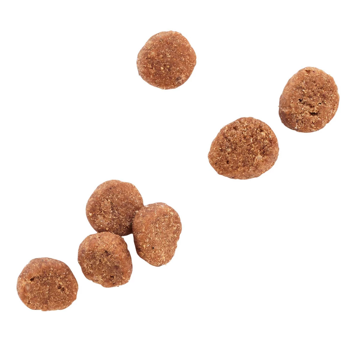 WholeHearted Libre De Granos Alimento Natural Para Gato Todas Las Edades Receta Pavo, 2.2 Kg 6 WholeHearted Libre De Granos Alimento Natural Para Gato Todas Las Edades Receta Pavo, 2.2 Kg - Image 6