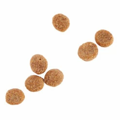 WholeHearted Healthy Benefits Alimento Natural Para Gato Adulto Control De Peso Receta Pollo Y Chícharo, 2.2 Kg -Tropiclean Shop medias 795