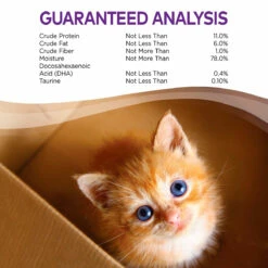 Wellness Complete Health Alimento Natural Para Gatito Receta Paté De Pollo, 85 G -Tropiclean Shop medias 804