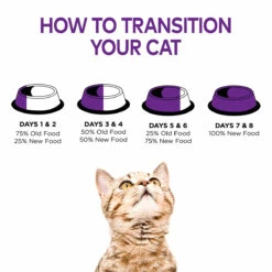 Wellness Complete Health Alimento Natural Para Gatito Receta Paté De Pollo, 85 G -Tropiclean Shop medias 806