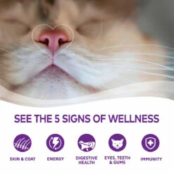 Wellness Complete Health Alimento Natural Para Gatito Receta Paté De Pollo, 85 G -Tropiclean Shop medias 809