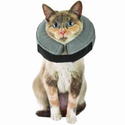 Well & Good Collarín Inflable Para Perro O Gato, XX-Chico