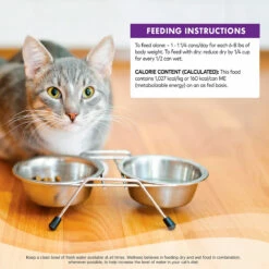 Wellness Complete Health Alimento Natural Para Gato Receta Paté De Pollo/Arenque, 156 G -Tropiclean Shop medias 815