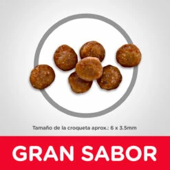 Hill's Science Diet Alimento Seco Para Gatito De Interior Receta Pollo, 3.2 Kg 10 Hill's Science Diet Alimento Seco Para Gatito De Interior Receta Pollo, 3.2 Kg -Tropiclean Shop medias 831