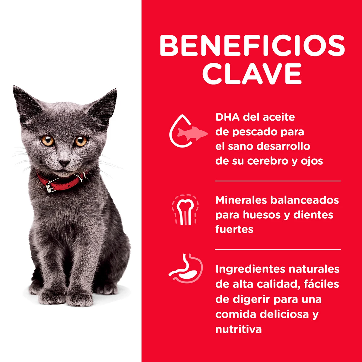 Hill's Science Diet Alimento Seco Para Gatito De Interior Receta Pollo, 3.2 Kg 5 Hill's Science Diet Alimento Seco Para Gatito De Interior Receta Pollo, 3.2 Kg - Image 5
