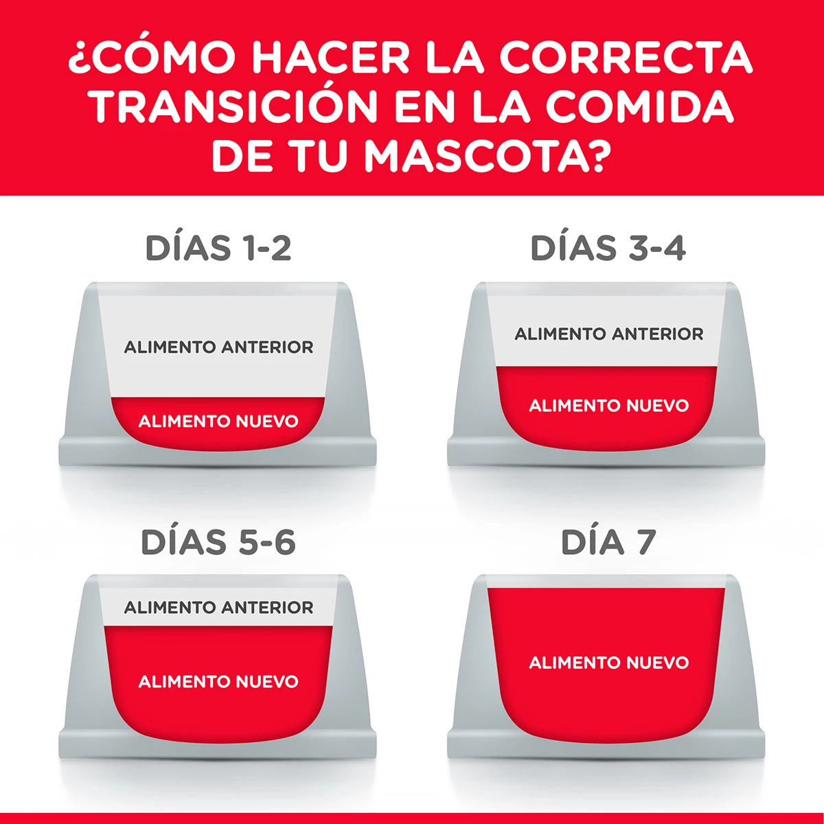 Hill's Science Diet Alimento Seco Para Gatito De Interior Receta Pollo, 3.2 Kg 6 Hill's Science Diet Alimento Seco Para Gatito De Interior Receta Pollo, 3.2 Kg - Image 6