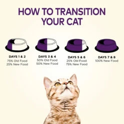 Wellness Complete Health Alimento Natural Para Gato De Interior Receta De Salmón/Arenque, 5.2 Kg -Tropiclean Shop medias 843