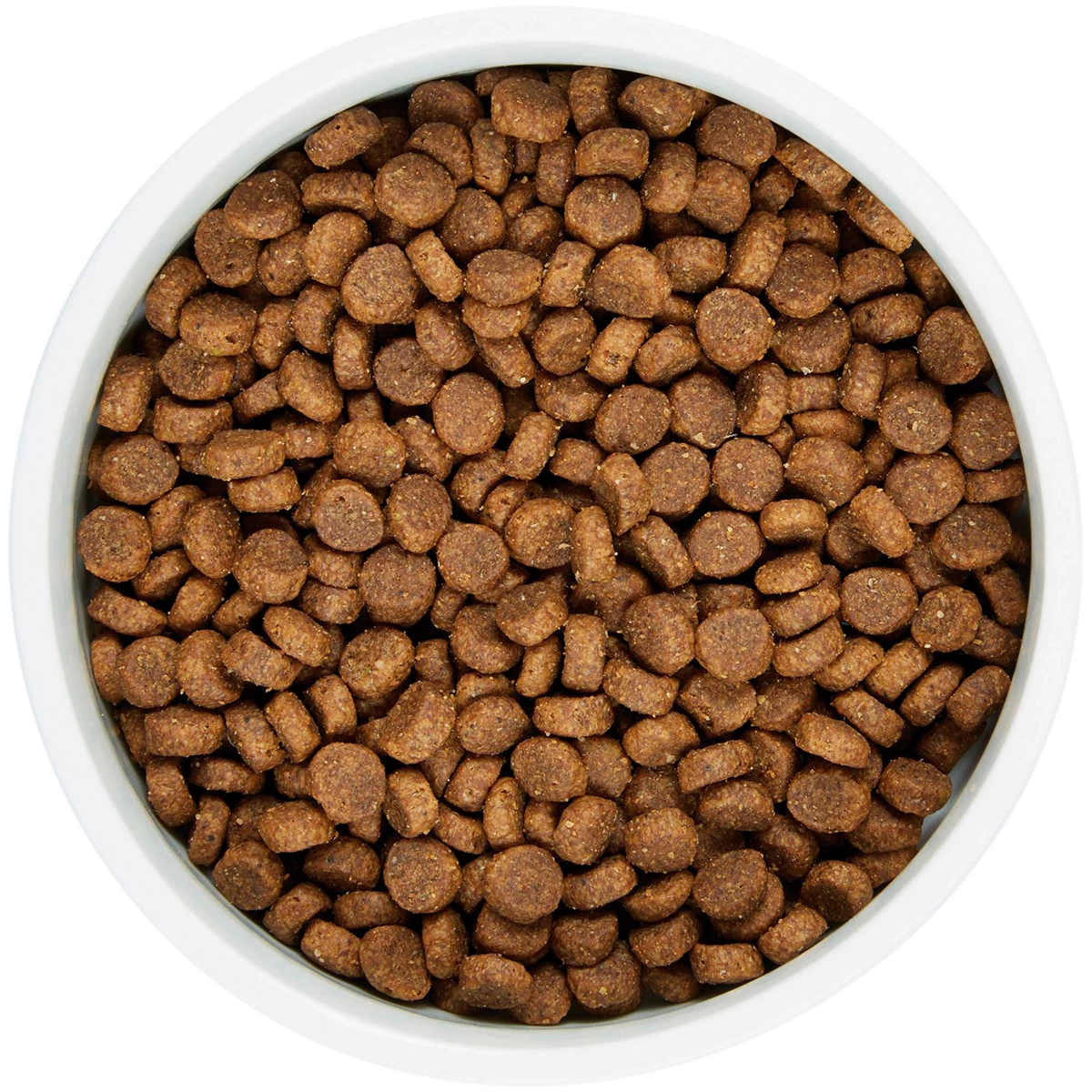 WholeHearted Libre De Granos Alimento Natural Para Cachorro Todas Las Razas Receta Pollo Y Chícharo, 6 Kg 5 WholeHearted Libre De Granos Alimento Natural Para Cachorro Todas Las Razas Receta Pollo Y Chícharo, 6 Kg - Image 5