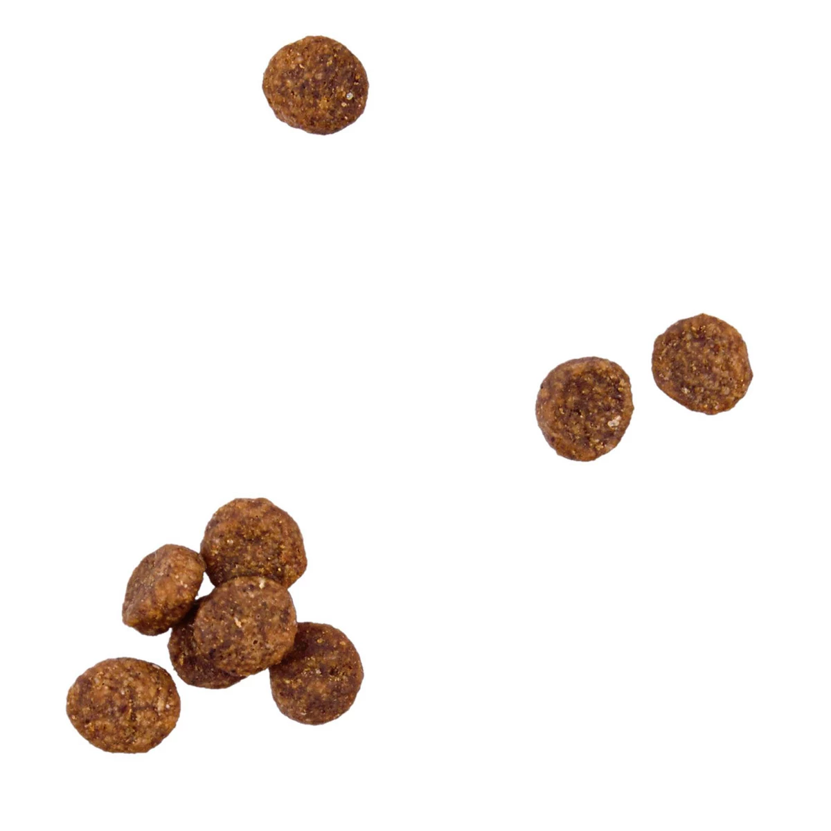 WholeHearted Libre De Granos Alimento Natural Para Cachorro Todas Las Razas Receta Pollo Y Chícharo, 6 Kg 6 WholeHearted Libre De Granos Alimento Natural Para Cachorro Todas Las Razas Receta Pollo Y Chícharo, 6 Kg - Image 6