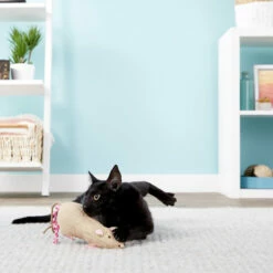 Petlinks Juguete Ratita Jeepers Rellenable Con Catnip Para Gato -Tropiclean Shop medias 913