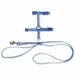 Bond & Co Set De Arnés Y Correa Diseño Corduroy Para Gatito Color Azul