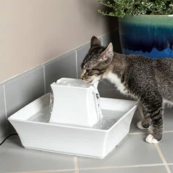 Petsafe Drinkwell Fuente Automática De Cerámica Para Mascotas Modelo Pagoda, Blanco -Tropiclean Shop medias 952