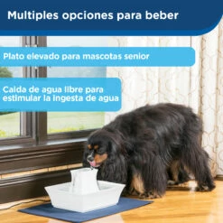 Petsafe Drinkwell Fuente Automática De Cerámica Para Mascotas Modelo Pagoda, Blanco -Tropiclean Shop medias 955