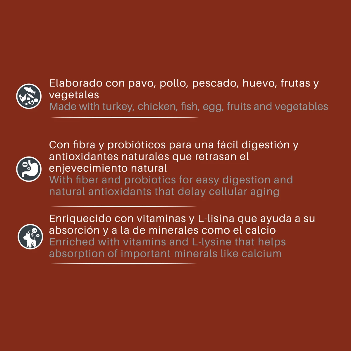 Tiër Holistic Alimento Natural Para Perro Senior Receta Pavo, 15 Kg 5 Tiër Holistic Alimento Natural Para Perro Senior Receta Pavo, 15 Kg - Image 5